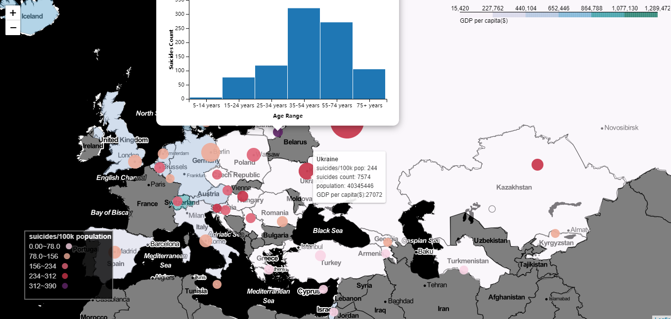 Screenshot or image of visualisation